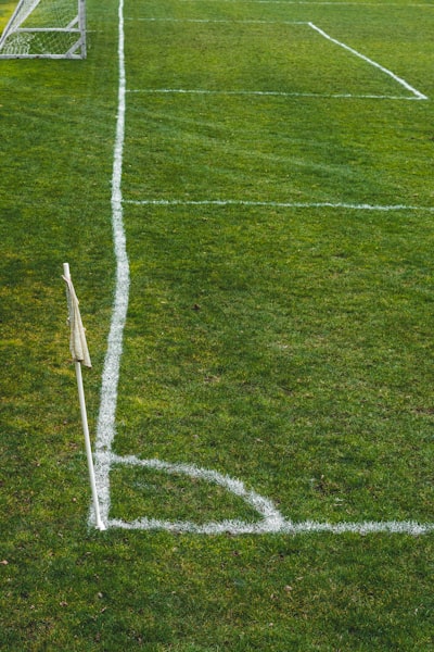 جدول ترتيب فرق الدوري المصري الممتاز 2024تطور المنافسة وأبرز المفاجآت